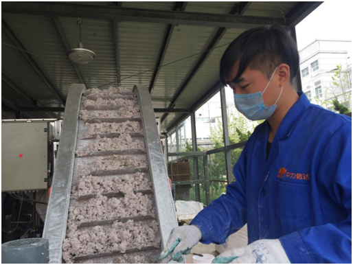 �����Ŵ�������¸ɻ������ܵ���ʿ������